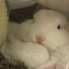 ebtisam_hussein4