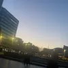 monkeys_wmoustaches
