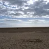owensteele11