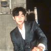 cisne_swan