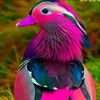 user3443561340418