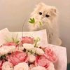 noran.reda49