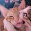 z0mbi3k1tties