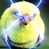 xtrdigmabollat