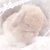sarangacheonsa