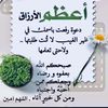 alhamd421