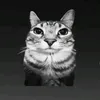 itsmesanje_123