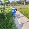 .suprax125stddd