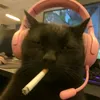 urgurldianze