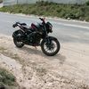 cachorrito1193