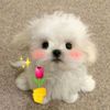 user851201871