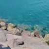 monther.amler