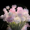thuhien29100