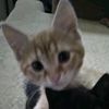 audrey._016