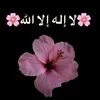 smsm111118