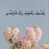 naima.biladi