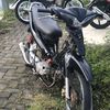 jupiteralbino3