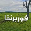 user25385590861458