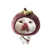 minie_636