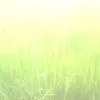nghia.phan619