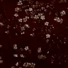 mirrsi5