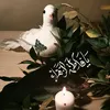 endu1411
