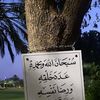 user4316700538195
