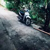 chetdisonglai5