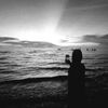 elychase_