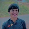mujeebzalmy6