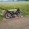 ysloss6265