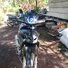 alfais_080