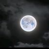 samir.sam151
