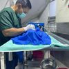 dr.toe.gyi