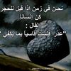 user74332499216028