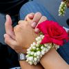 rohima.akther491