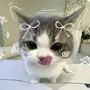 yunishieee4