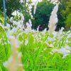 anjel.anjel90