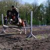 maja_flay