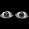 slovanianspy