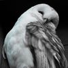 rorie22_2
