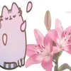 q1iidd_y.y6