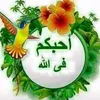 user37256307782284