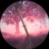 p_vr11