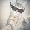 ma_hira2
