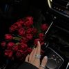 rose.00350
