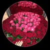 bibi51283
