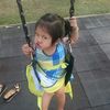 bobie_shark28