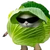 ameliakrawetkowsk1