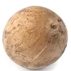 kokoslol1